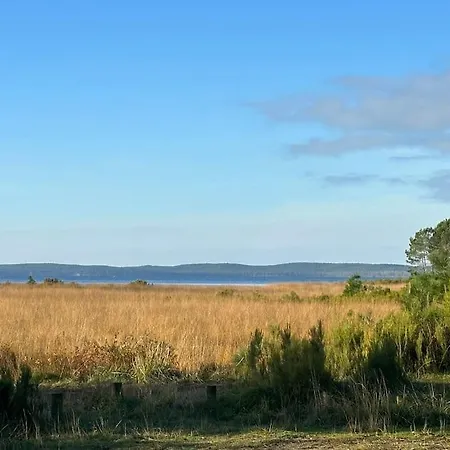 Feriehus Maison Proche Du ! Hourtin