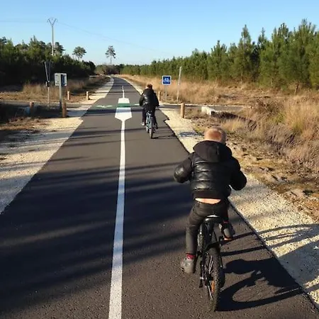 Maison Proche Du ! Hourtin