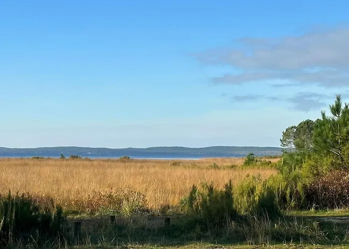 Holiday home Maison Proche Du ! Hourtin